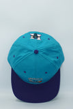 Vintage Charlotte Hornets by Competitor New Without Tag
