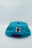 Vintage Charlotte Hornets by Competitor New Without Tag