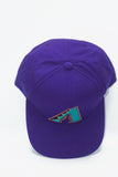 Vintage Arizona Diamondbacks Outdoor Cap 2-Tone New Without Tag
