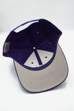 Vintage Arizona Diamondbacks Outdoor Cap 2-Tone New Without Tag