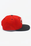 Vintage Atlanta Hawks New Era Pro Model 2-Tone 100% Wool