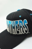 Vintage Carolina Panthers Blackdome Starter Tri Power New Without Tag - WOOL