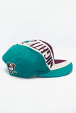 Vintage MIGHTY DUCKS Twin Enterprise Highway
