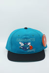 Vintage Charolotte Hornets G-CAP Youngan New With Tag