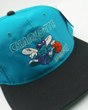 Vintage Charolotte Hornets G-CAP Youngan New With Tag