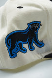 Vintage Carolina Panthers by Apparel #1 New With Tag WOOL