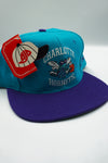 Vintage Charlotte Hornets AJD Semi Block New With Tag WOOL