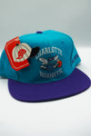 Vintage Charlotte Hornets AJD Semi Block New With Tag WOOL