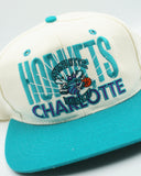 Vintage Charlotte Hornets by Signature AJD - New Without Tag WOOL