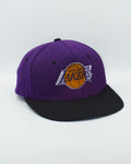 VINTAGE LOS ANGELES LAKERS AJD Rare Purple Melton Wool