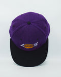 VINTAGE LOS ANGELES LAKERS AJD Rare Purple Melton Wool