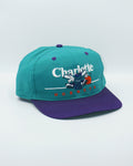 vintage charlotte hornets BarLine By Twins Enterprise New Without Tag