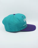 vintage charlotte hornets BarLine By Twins Enterprise New Without Tag