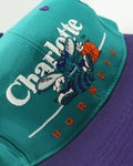 vintage charlotte hornets BarLine By Twins Enterprise New Without Tag