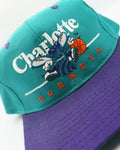 vintage charlotte hornets BarLine By Twins Enterprise New Without Tag