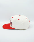 Vintage St. Louis Cardinals Crossbat #1 Apparel x New Era Collab