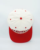 Vintage St. Louis Cardinals Crossbat #1 Apparel x New Era Collab