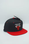 Vintage Chicago Bulls GCAP 2-TONE New With Tag