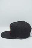 Vintage Chicago Bulls Champion Hat