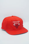 Vintage Chicago Bulls Twins Enterprise 1-Tone