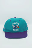 Vintage Charlotte Hornets Twins Enterprise New Without Tag WOOL