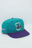 Vintage Charlotte Hornets Twins Enterprise New Without Tag WOOL