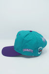 Vintage Charlotte Hornets Twins Enterprise New Without Tag WOOL