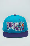 Vintage Charlotte Hornets GCAP Wave New With Tag
