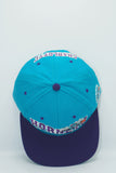 Vintage Charlotte Hornets GCAP Wave New With Tag