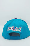 Vintage Charlotte Hornets GCAP Wave New With Tag