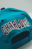 Vintage Charlotte Hornets GCAP Wave New With Tag