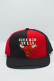 Vintage Chicago Bulls Starter Pinwheel Wool