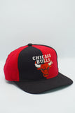 Vintage Chicago Bulls Starter Pinwheel Wool