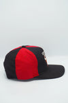 Vintage Chicago Bulls Starter Pinwheel Wool