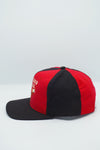 Vintage Chicago Bulls Starter Pinwheel Wool