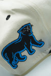 Vintage Carolina Panthers #1 Apparel Wool White Dome