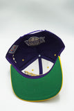 Vintage Los Angeles Lakers RARE AJD Sidesweep New With Tag