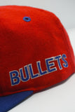 Vintage Washington Bullets AJD Spellout WOOL