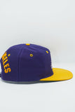 Vintage Los Angeles Lakers AJD Semi Block head