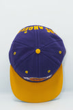 Vintage Los Angeles Lakers AJD Semi Block head