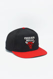 Vintage Chicago Bulls AJD 2-Tone