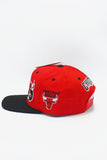 Vintage Chicago Bulls GCAP Wave New With Tag