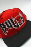 Vintage Chicago Bulls GCAP Wave New With Tag
