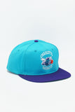 Vintage CHARLOTTE HORNETS AJD 2 Tone New Without Tag