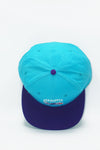 Vintage CHARLOTTE HORNETS AJD 2 Tone New Without Tag