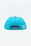 Vintage CHARLOTTE HORNETS AJD 2 Tone New Without Tag