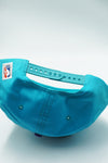 Vintage CHARLOTTE HORNETS AJD 2 Tone New Without Tag