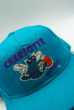 Vintage Charlotte Hornets Youngan 1-Tone