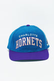 Vintage Charlotte Hornets Starter The Natural Arch - WOOL