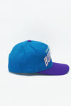 Vintage Charlotte Hornets Starter The Natural Arch - WOOL